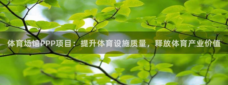 意昂体育3招商电话