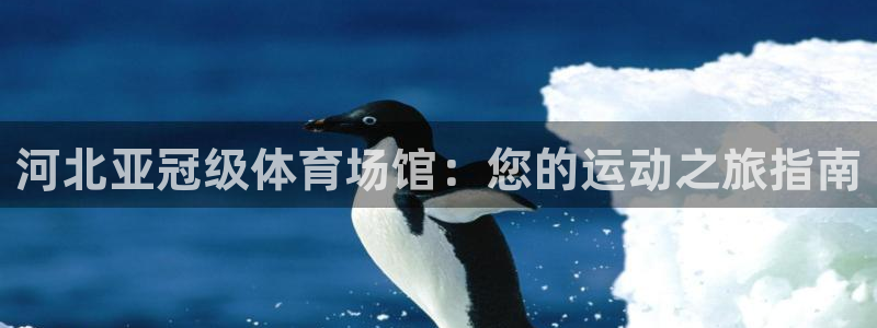 意昂体育3招商电话