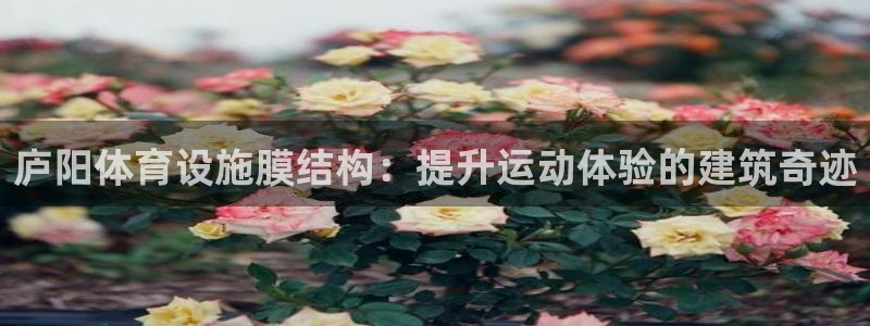 意昂3娱乐首页网站大全