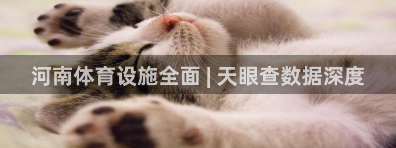 意昂体育3平台是正规平台吗安全吗