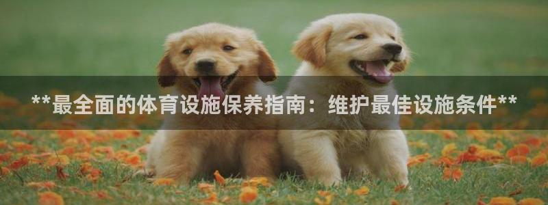 意昂体育3平台注册流程图：**最全面的体育设施保养指