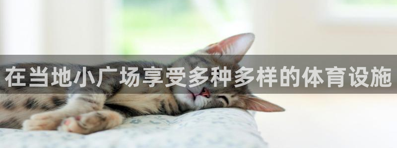 意昂体育3平台注册流程图：在当地小广场享受多种多样的