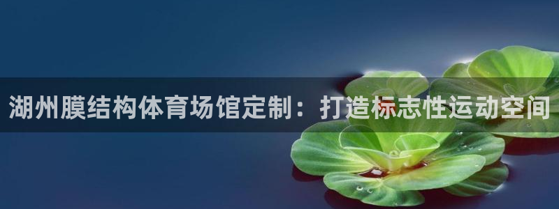海南意昂体育3发展怎么样：湖州膜结构体育场馆定制：打造标志性