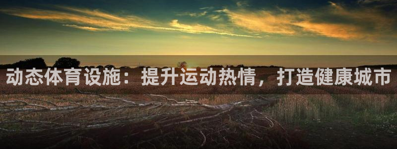 意昂3娱乐：动态体育设施：提升运动热情，打造健康城市