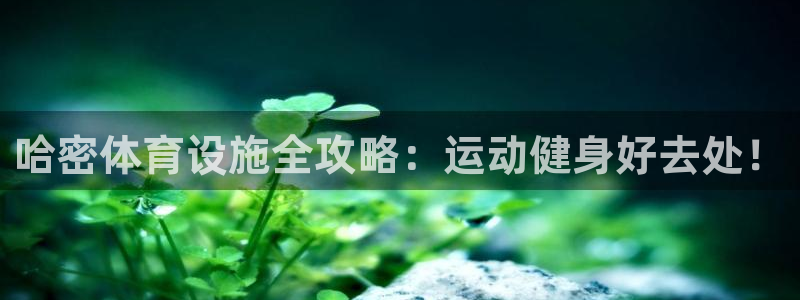 意昂体育3平台注册：哈密体育设施全攻略：运动健身好去处！ 