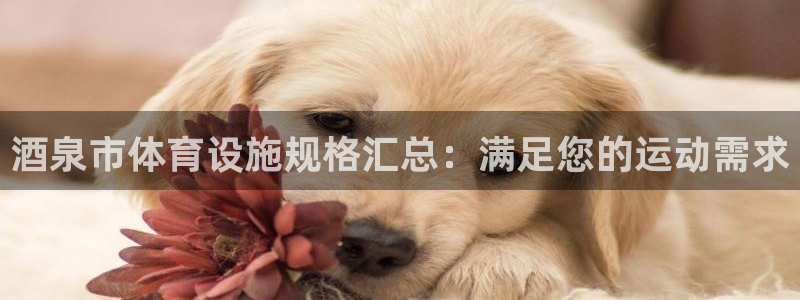 注册意昂3：酒泉市体育设施规格汇总：满足您的运动需求