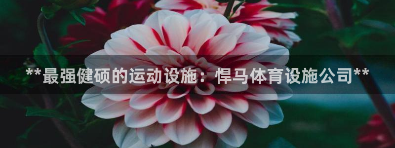意昂体育3招商电话是多少号码：**最强健硕的运动设施：悍马体 