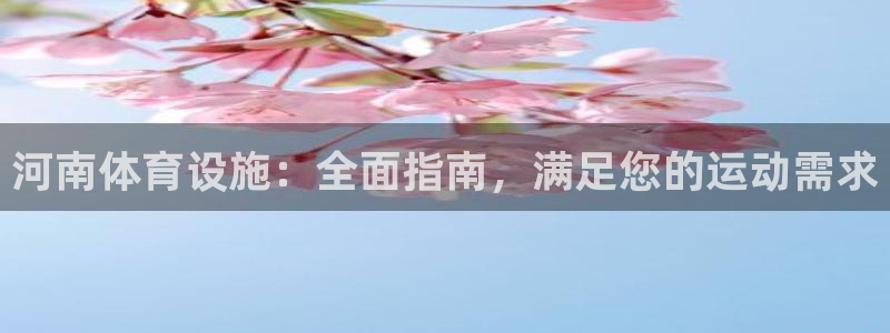 意昂3娱乐平台：河南体育设施：全面指南，满足您的运动需求
