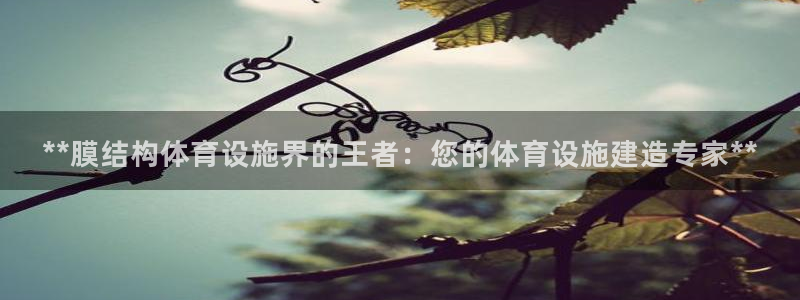 意昂3官网：**膜结构体育设施界的王者：您的体育设施建造专家