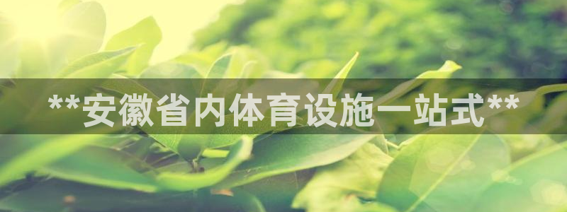 意昂3娱乐网站：**安徽省内体育设施一站式**