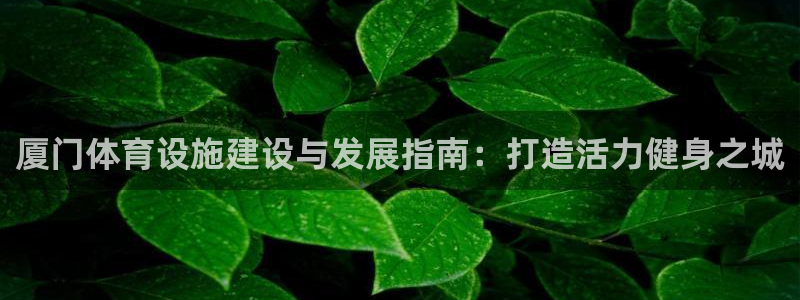 意昂体育3是干嘛的公司：厦门体育设施建设与发展指南：打造活力