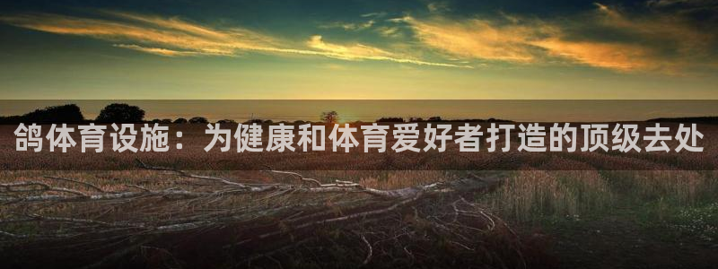 意昂3集团E.ON：鸽体育设施：为健康和体育爱好者打造的顶级
