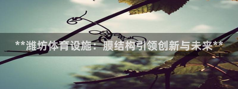 意昂体育3平台：**潍坊体育设施：膜结构引领创新与未来** 