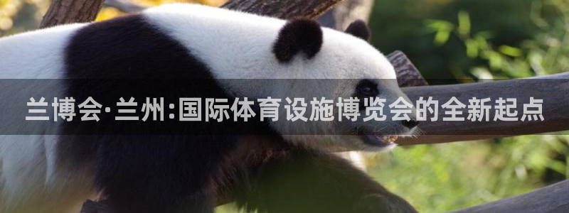 意昂3娱乐下载