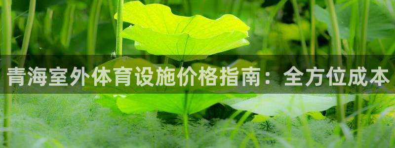 意昂体育3招商电话号码查询：青海室外体育设施价格指南
