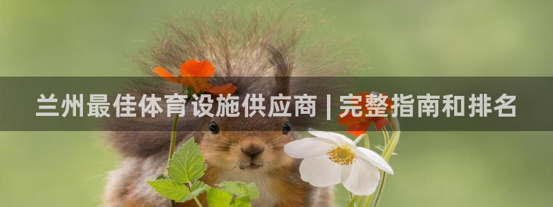 意昂集团官网：兰州最佳体育设施供应商 | 完整指南和排名 